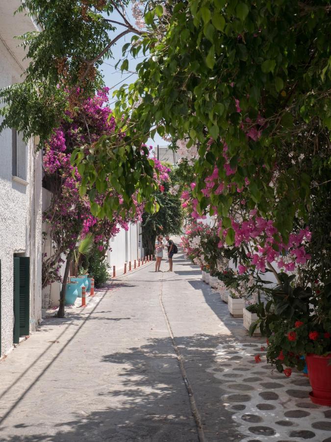 Appart hôtel Terra Fos Naxos 3*